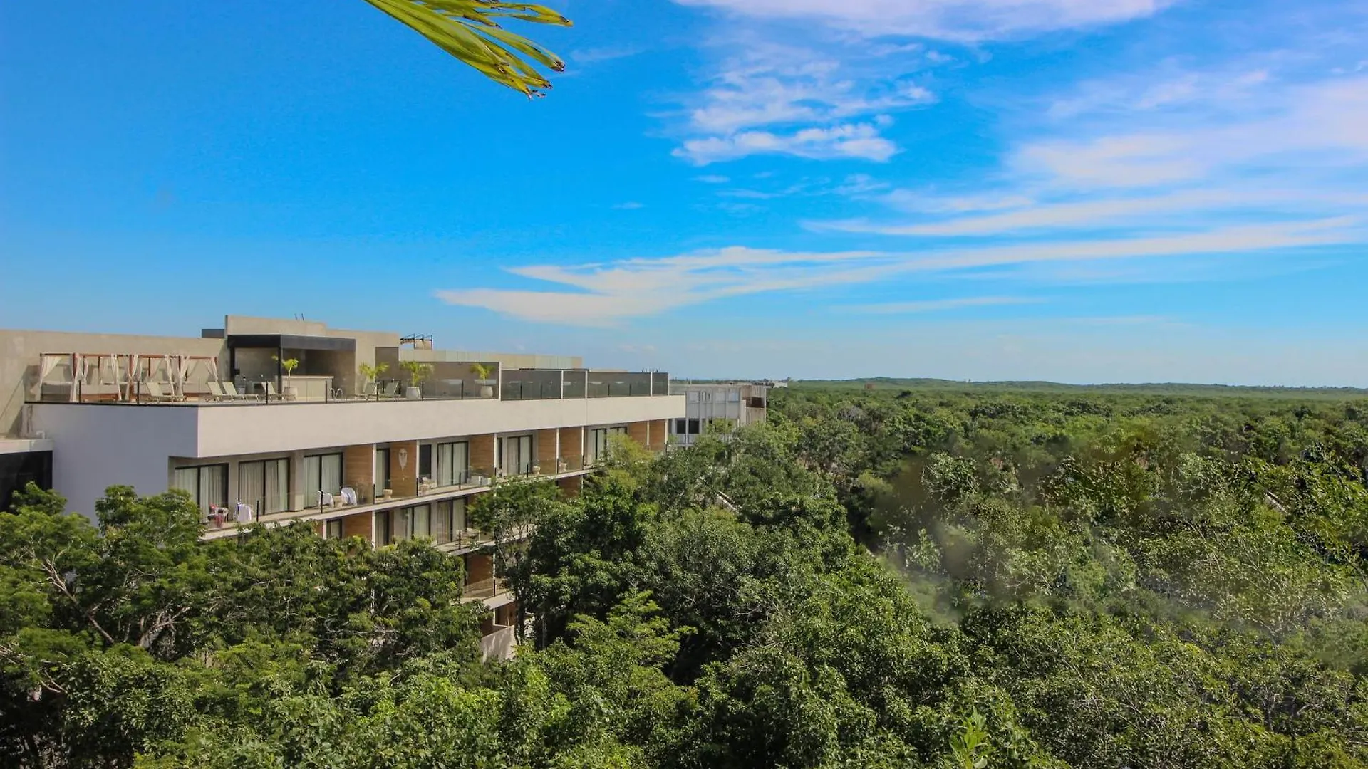 Daire Luxury Studio With Balcony And Rooftop Pool In Tulum Best Location Meksika