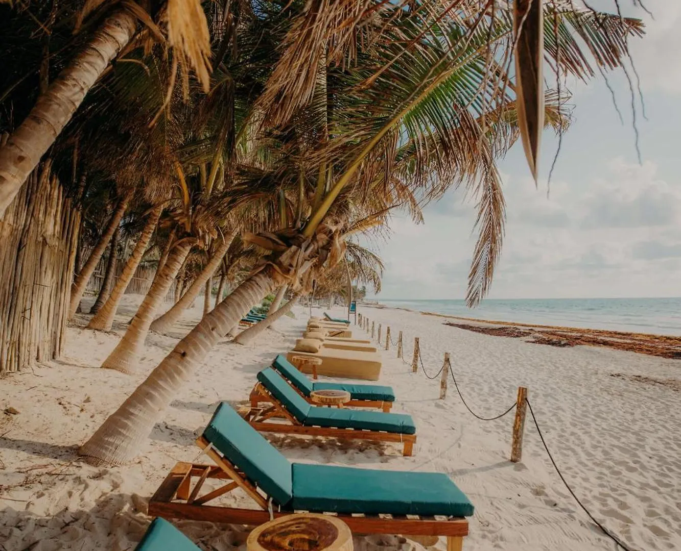Daire Luxury Studio With Balcony And Rooftop Pool In Tulum Best Location