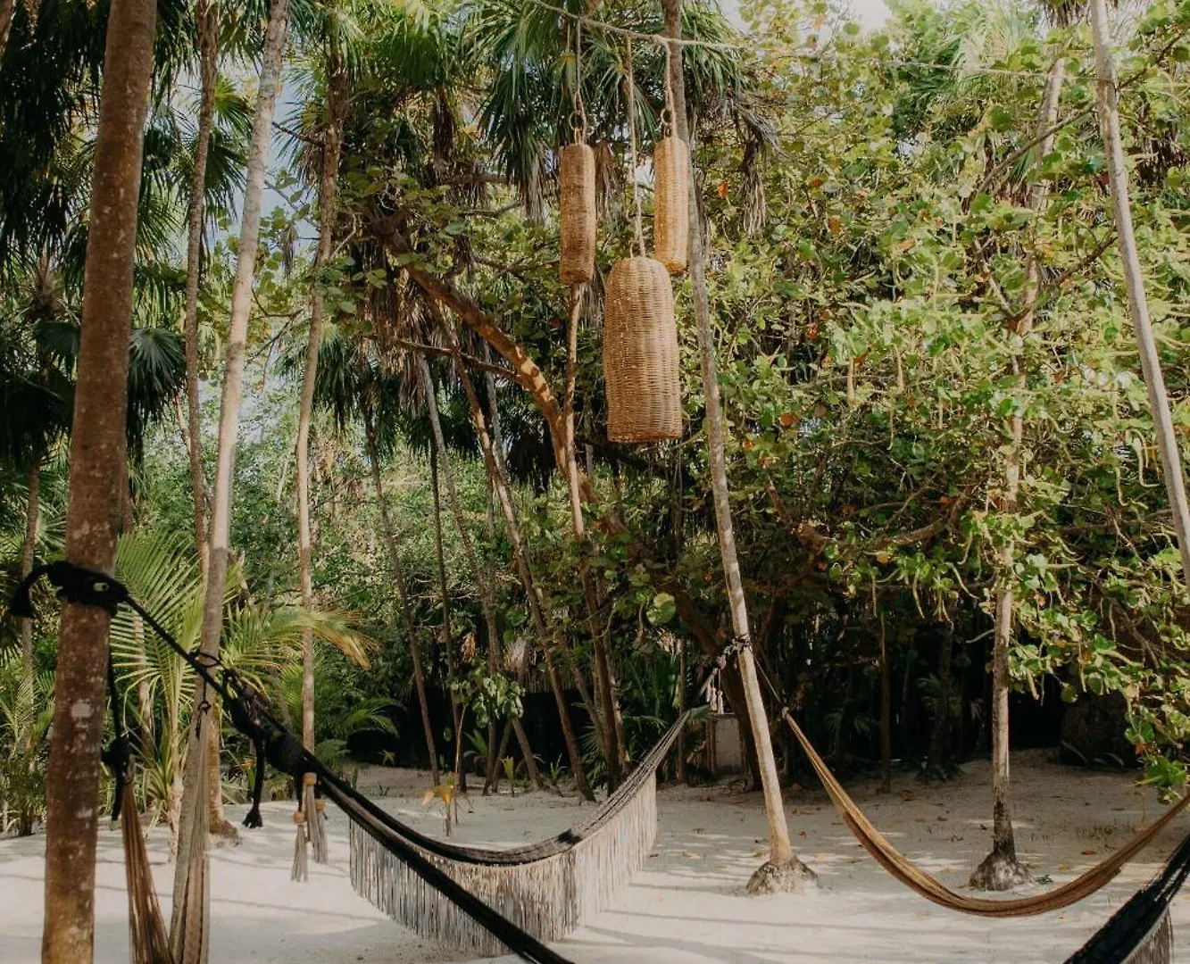 Luxury Studio With Balcony And Rooftop Pool In Tulum Best Location Meksika