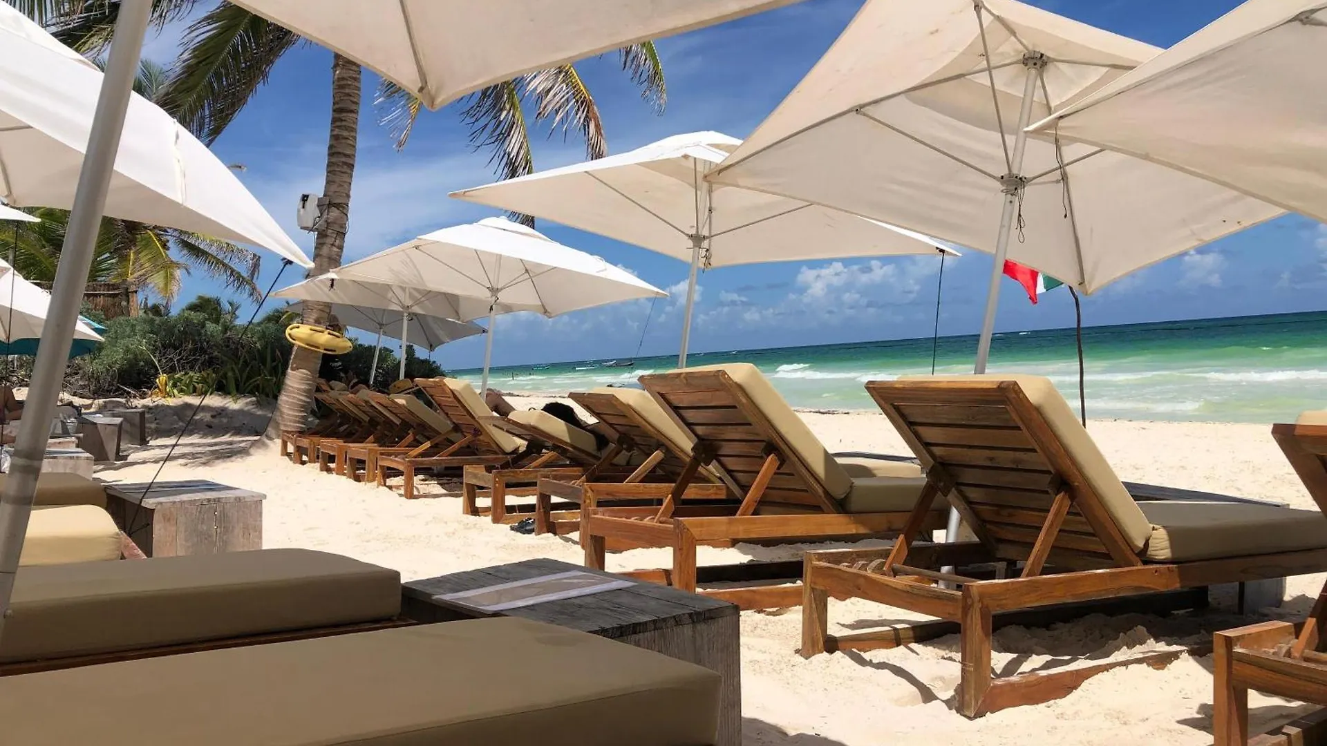 Luxury Studio With Balcony And Rooftop Pool In Tulum Best Location Daire