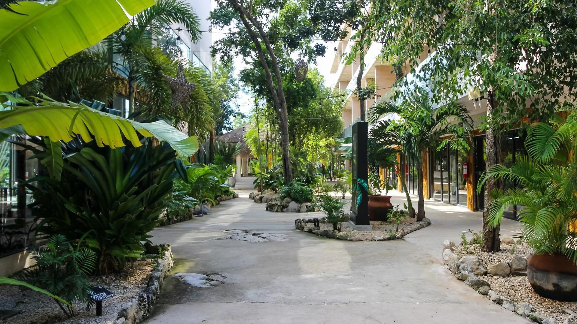 Daire Luxury Studio With Balcony And Rooftop Pool In Tulum Best Location